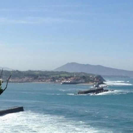 Elegant Appartement A St-Jean-De-Luz - Proche Plage & Commerces - Fr-1-239-851 Сен-Жан-де-Люз Экстерьер фото